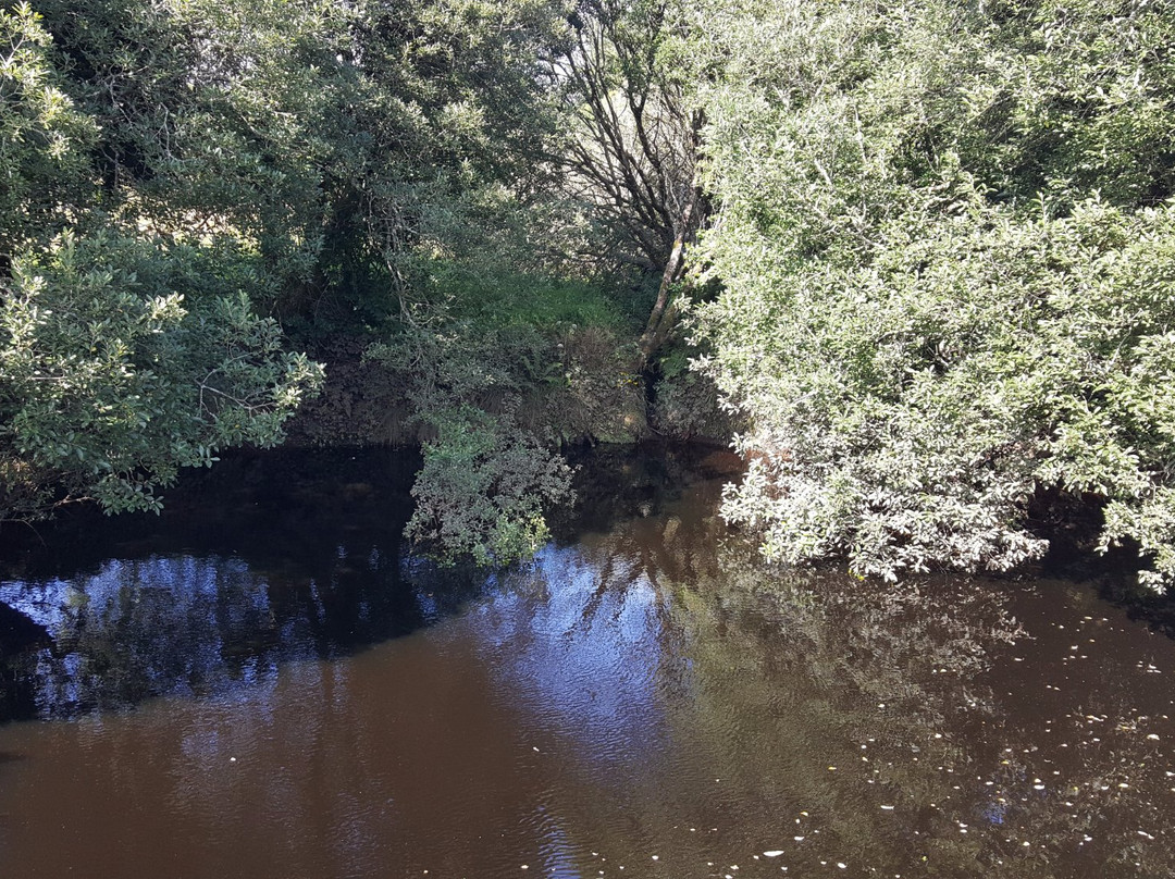 The Shannon Pot-Blacklion必去景点