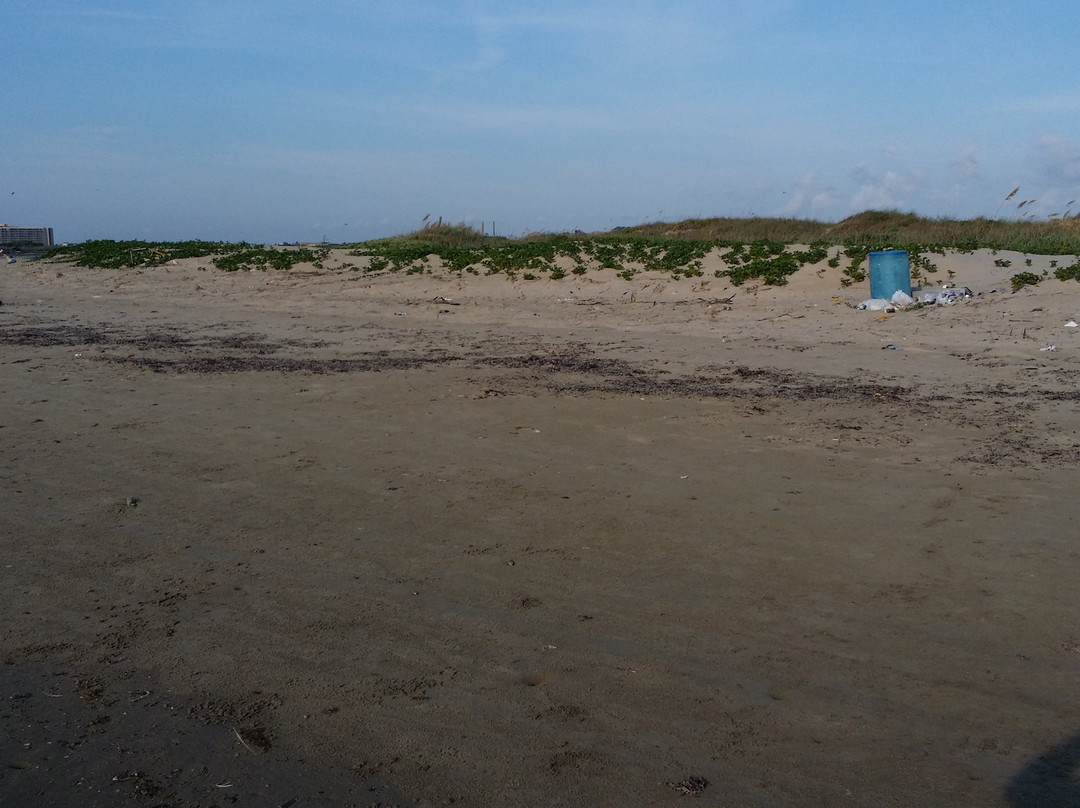 San Jose Island-阿兰瑟斯港必去景点