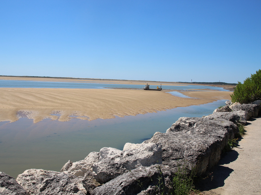 Beach of La Palmyre景点图片