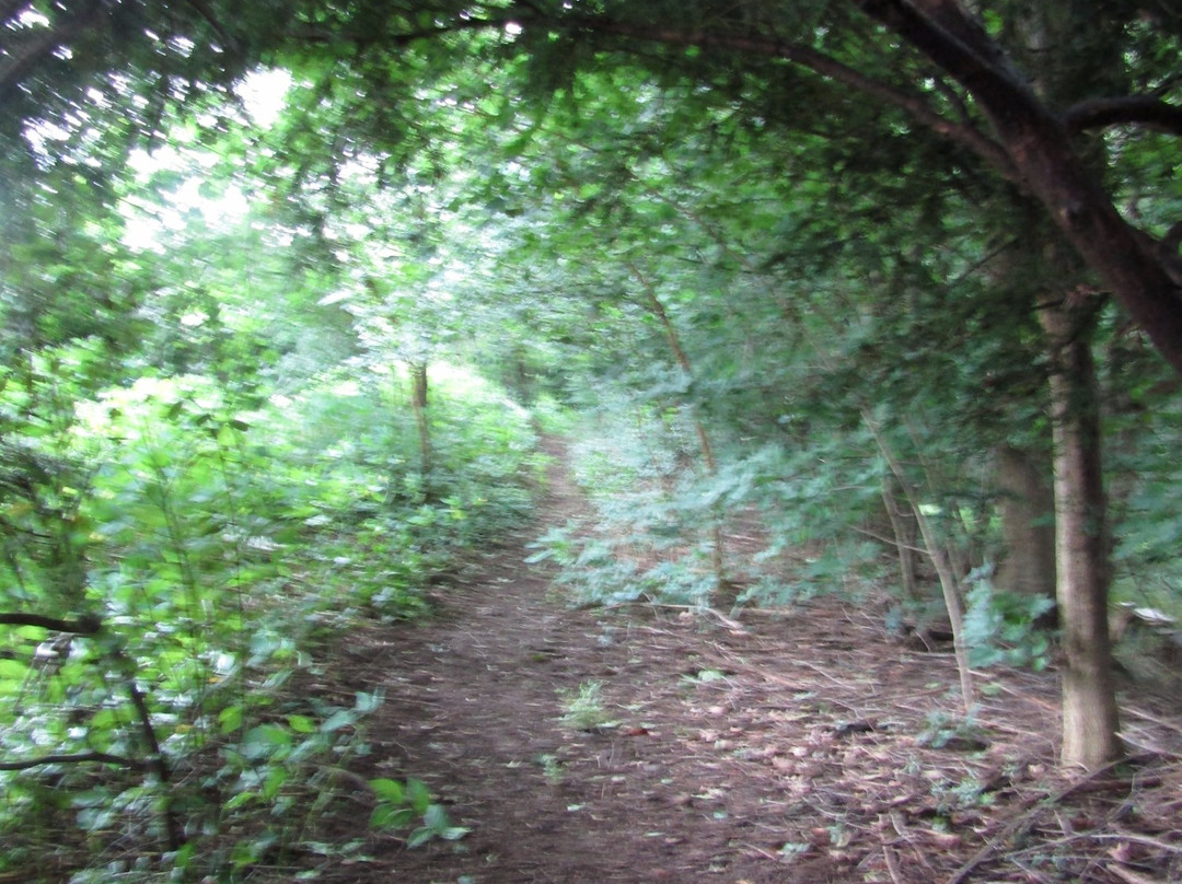 Rachael Carson House-Springdale必去景点