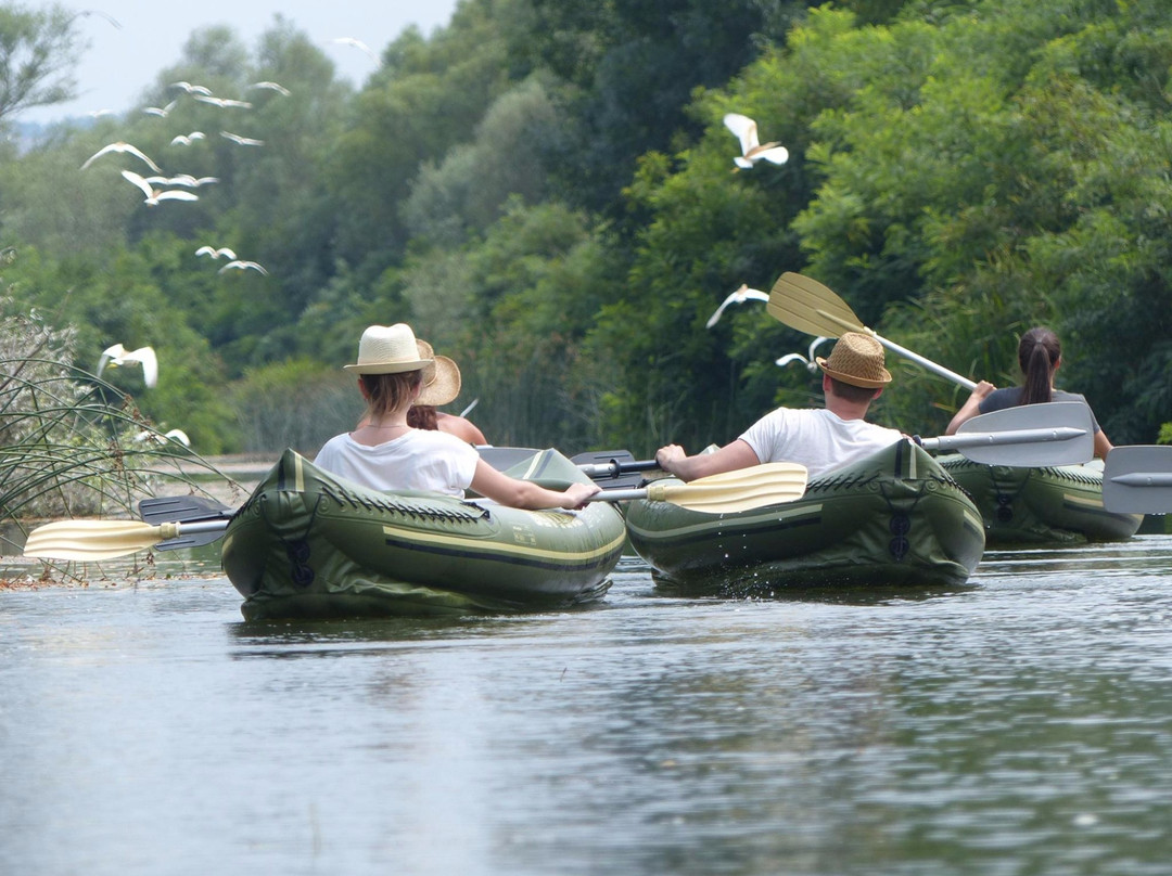 Kayak Safaris BG景点图片