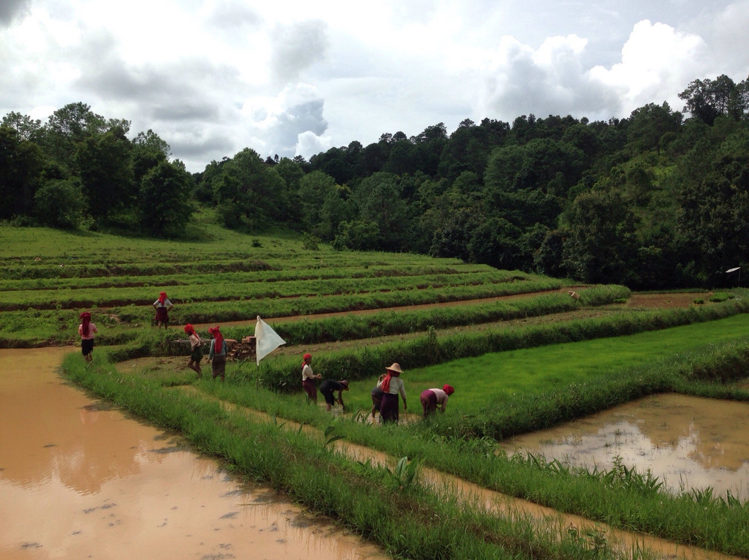 Mister Min Min's Trekking Tours-格劳必去景点