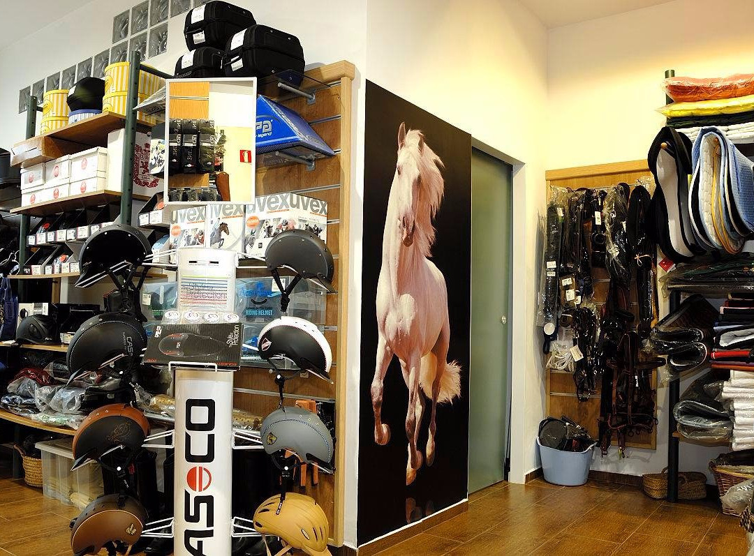 Tienda Hipica Happy Horse景点图片