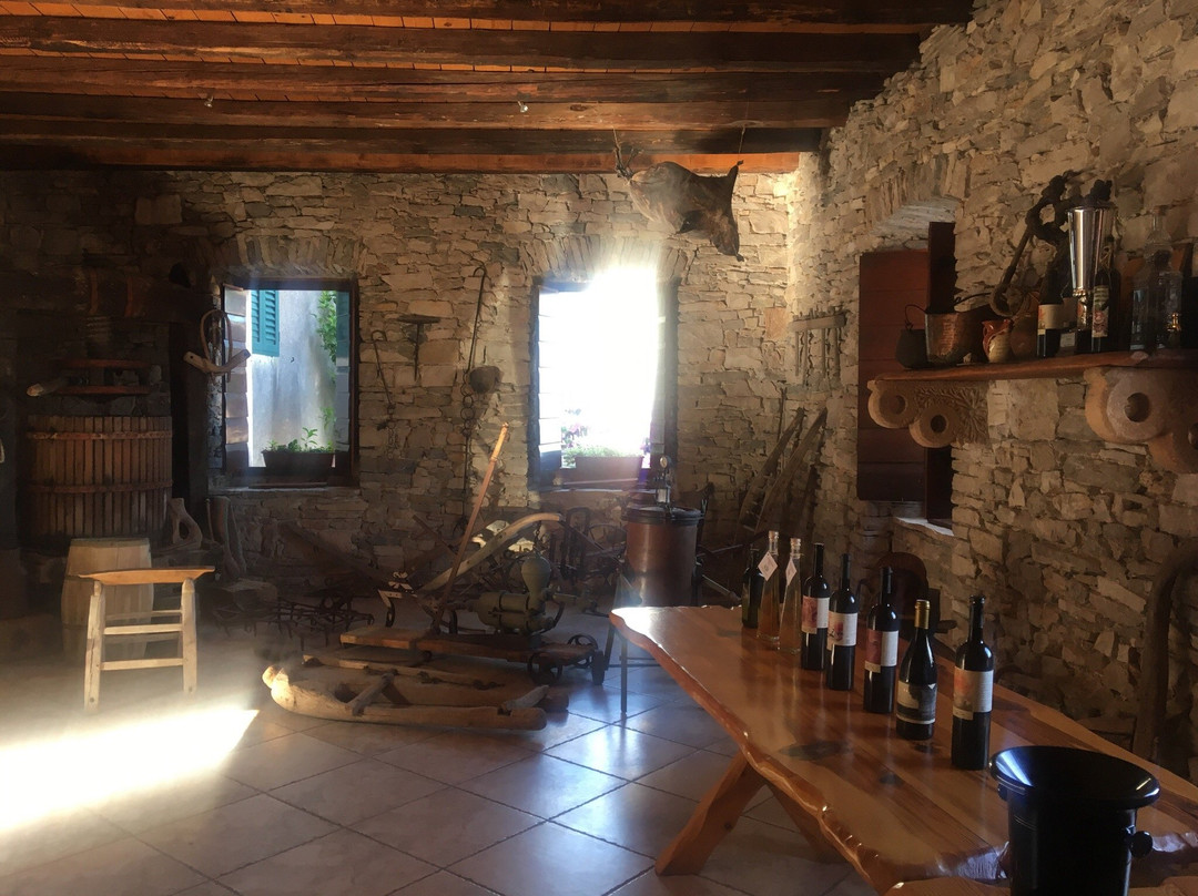 Toreta winery景点图片