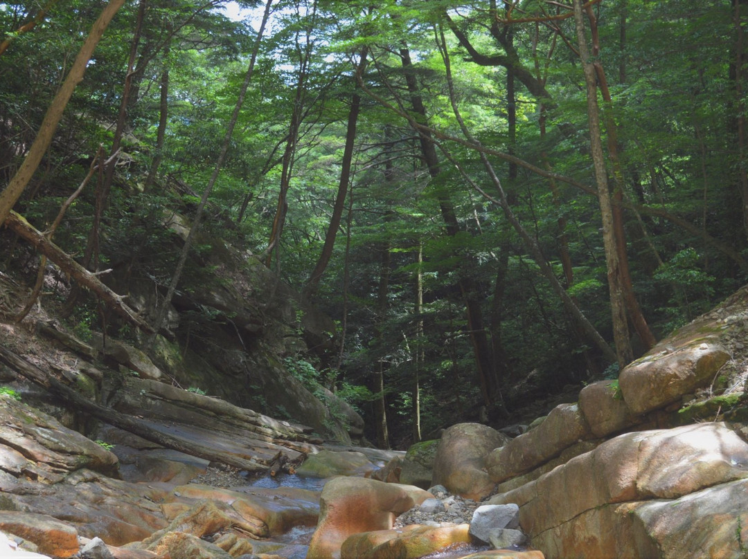 Kannon Fall景点图片