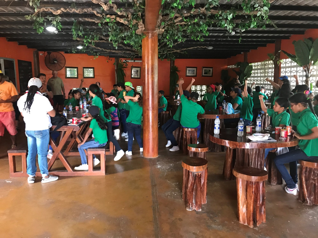 Safaricks Zoologico景点图片