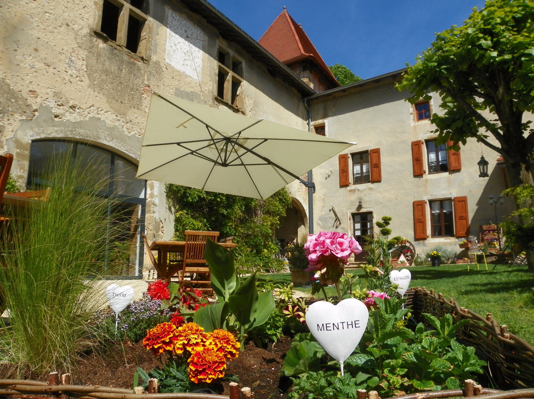 Saint-Sorlin-en-Valloire旅游攻略图片