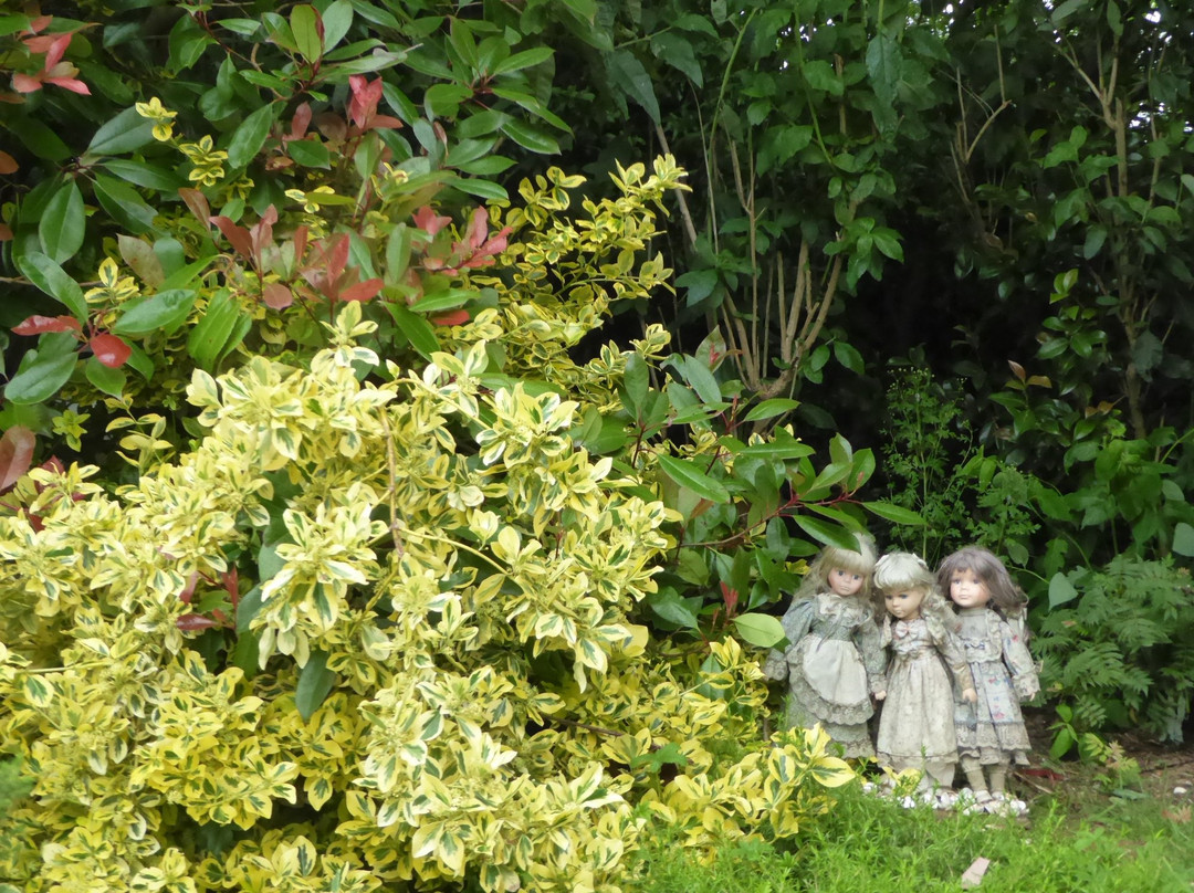 Kia-ora farm and gardens-Cullompton必去景点