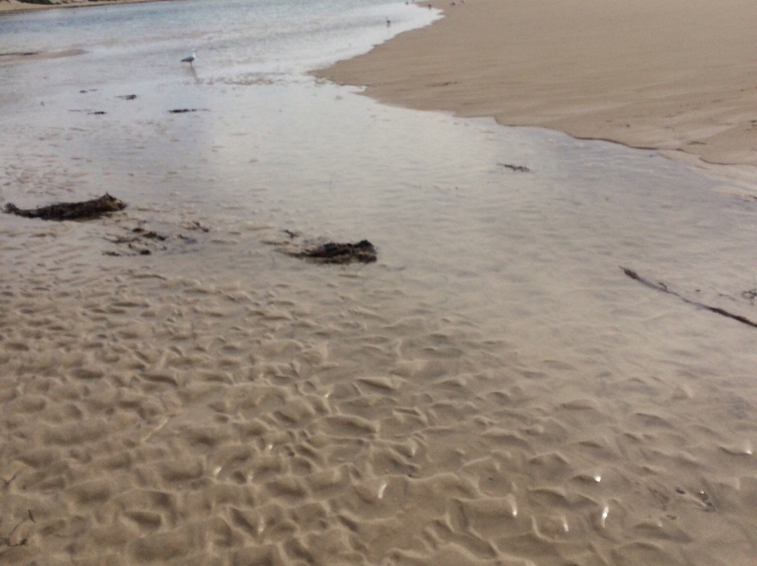 Halls Head Beach-曼杜拉必去景点