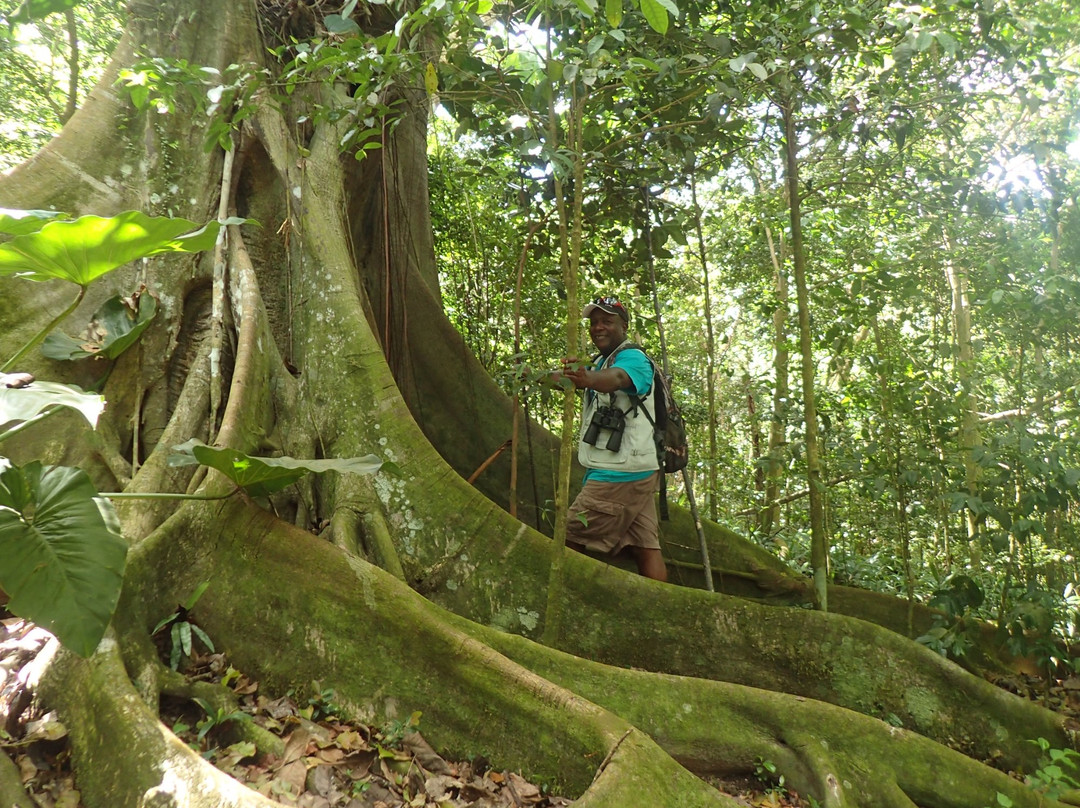 Scriber's Adventure Tours-Little Bay必去景点