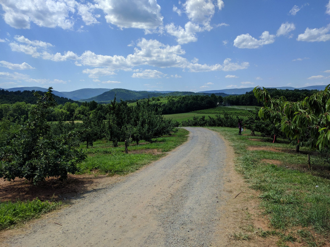 Spring Valley Orchard-Afton必去景点