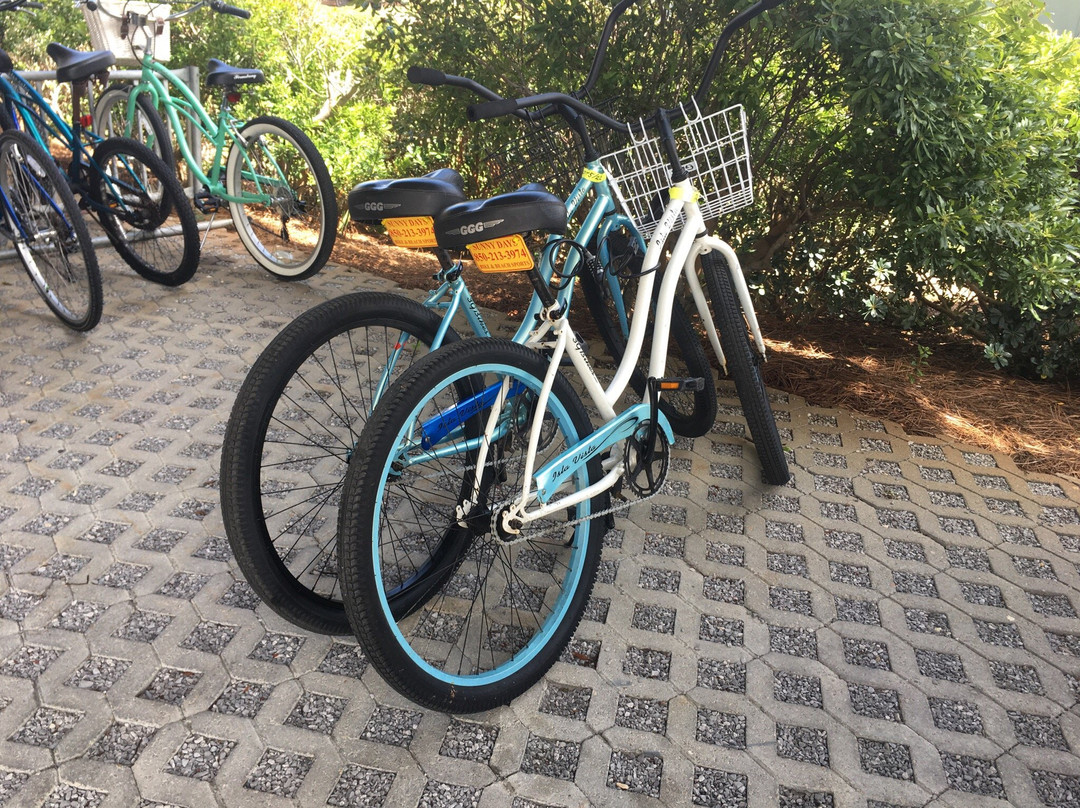 Sunny Days Bike & Beach Sports景点图片