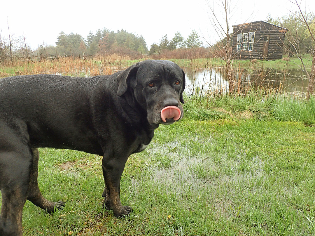 Owl's Nest Suites主图