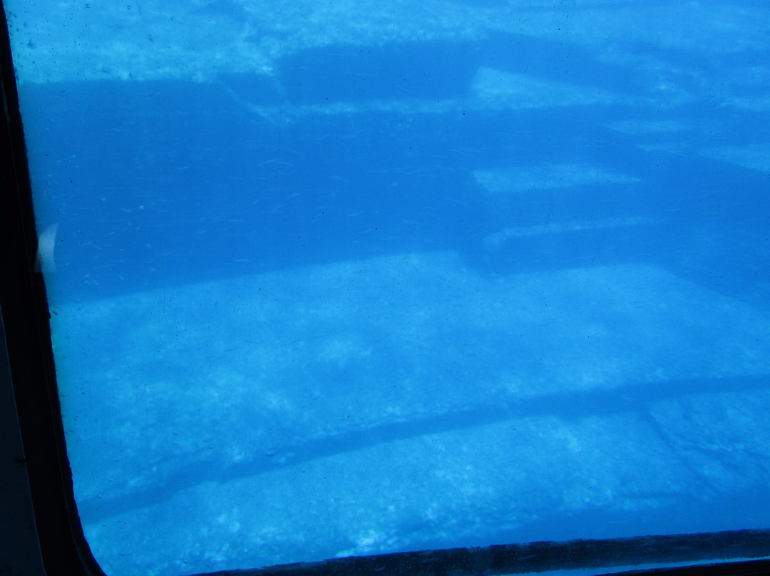 Submarine Remains景点图片