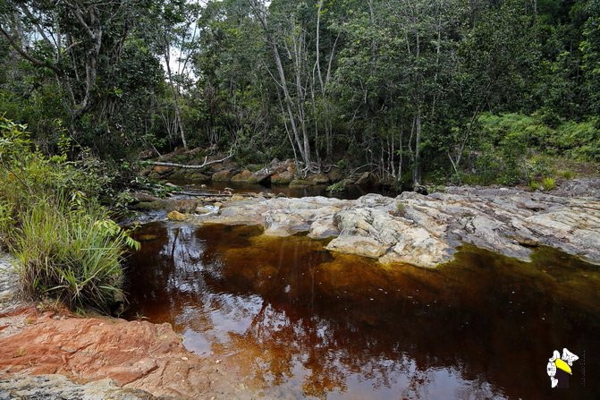 El Pauji-卡奈玛国家公园必去景点