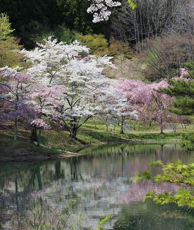 Handayama Natural Park-桑折町必去景点