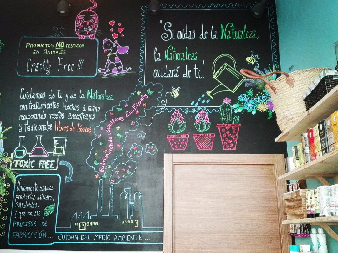 Natural Room-托雷德尔玛必去景点