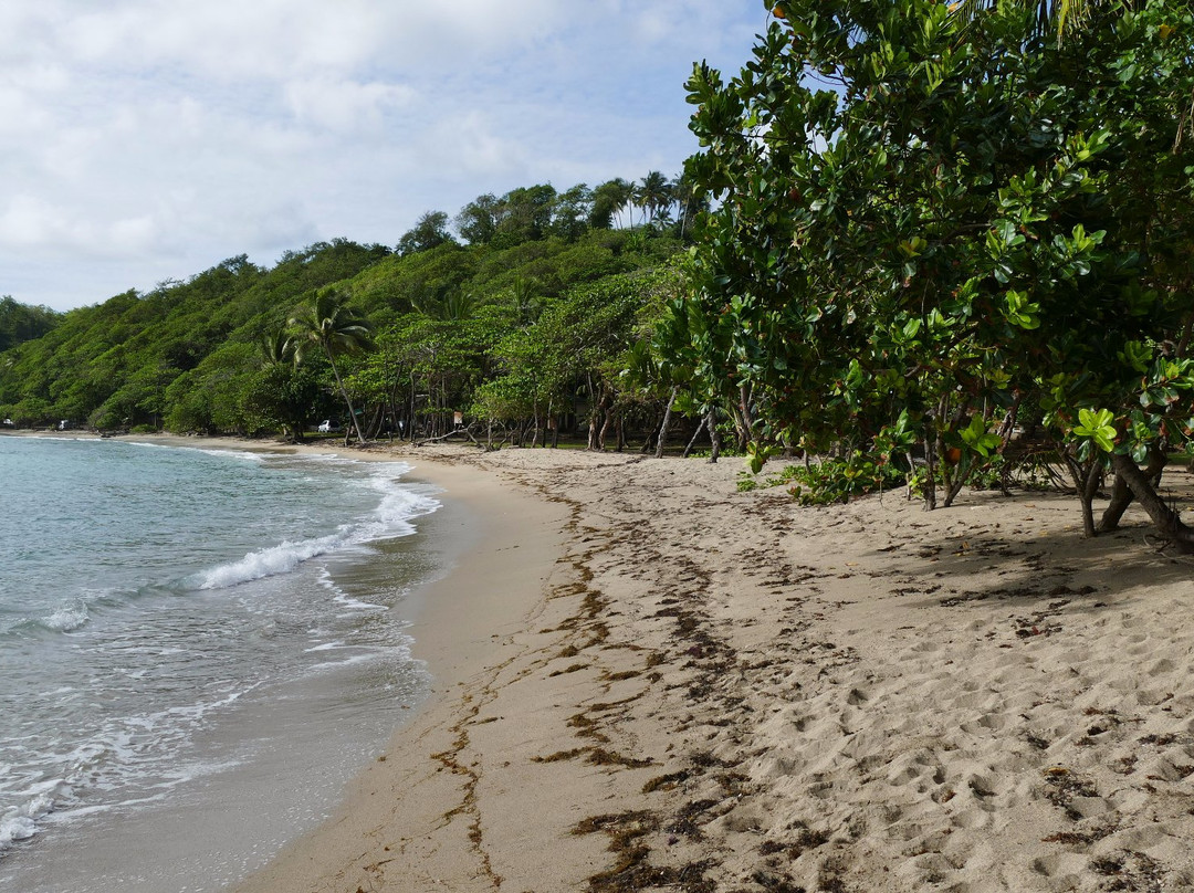 Domaine de Sainte Marie主图