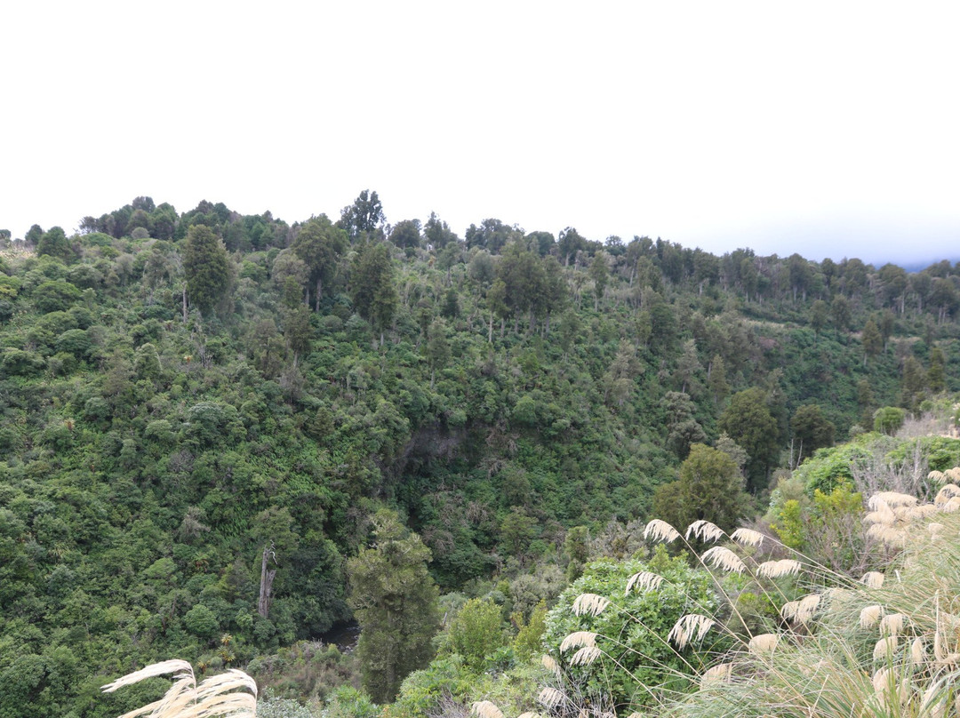 Makatote Viaduct-Ohau必去景点