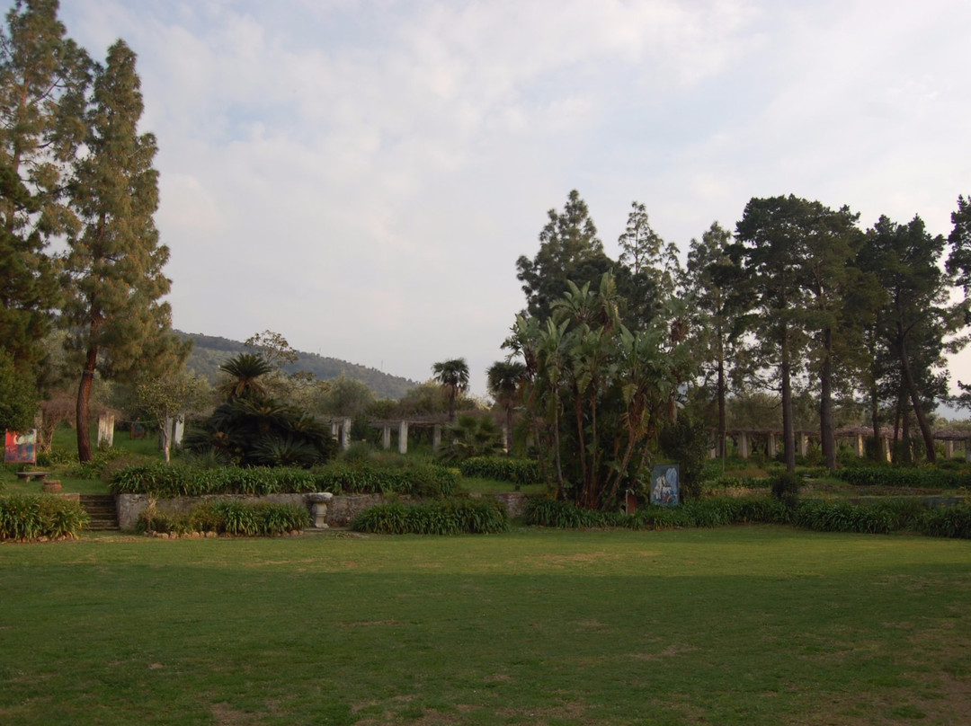 Fondazione Famiglia Piccolo景点图片