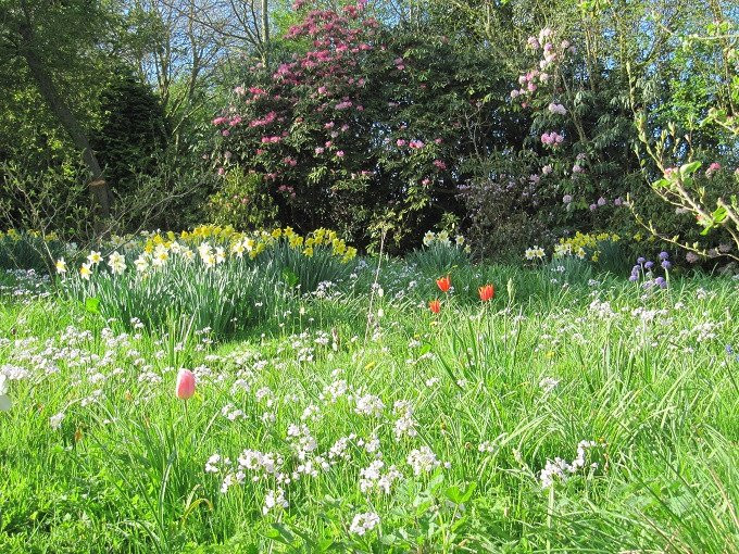 Moors Meadow Gardens景点图片