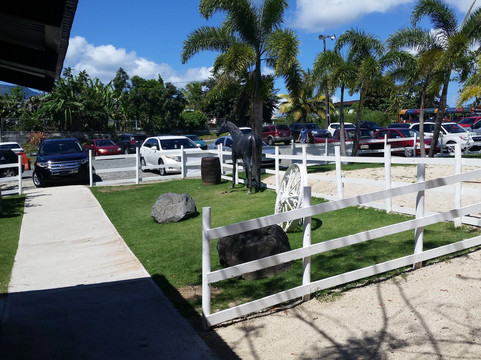 Las Piedras餐馆和美食-Hacienda La Tormenta