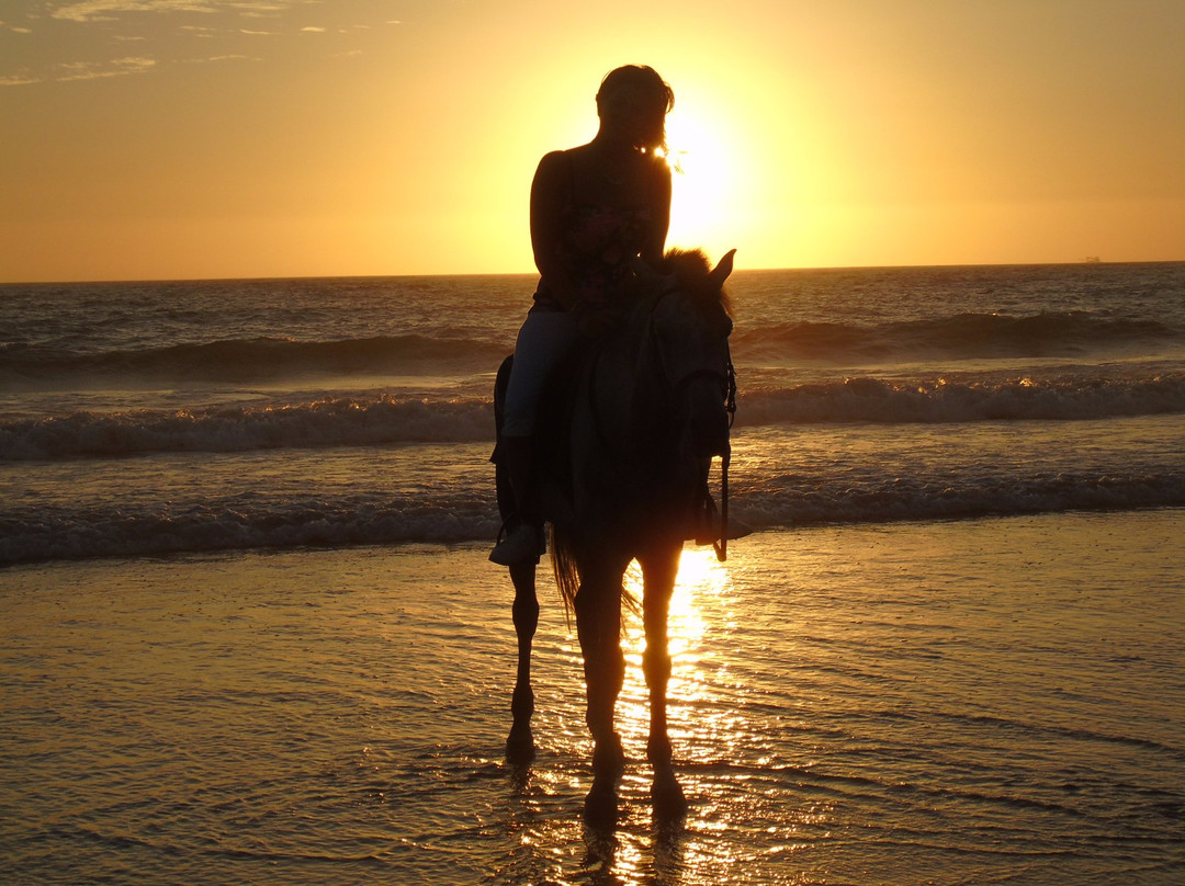 Equitation Ranchacienda-奥瑞尔必去景点