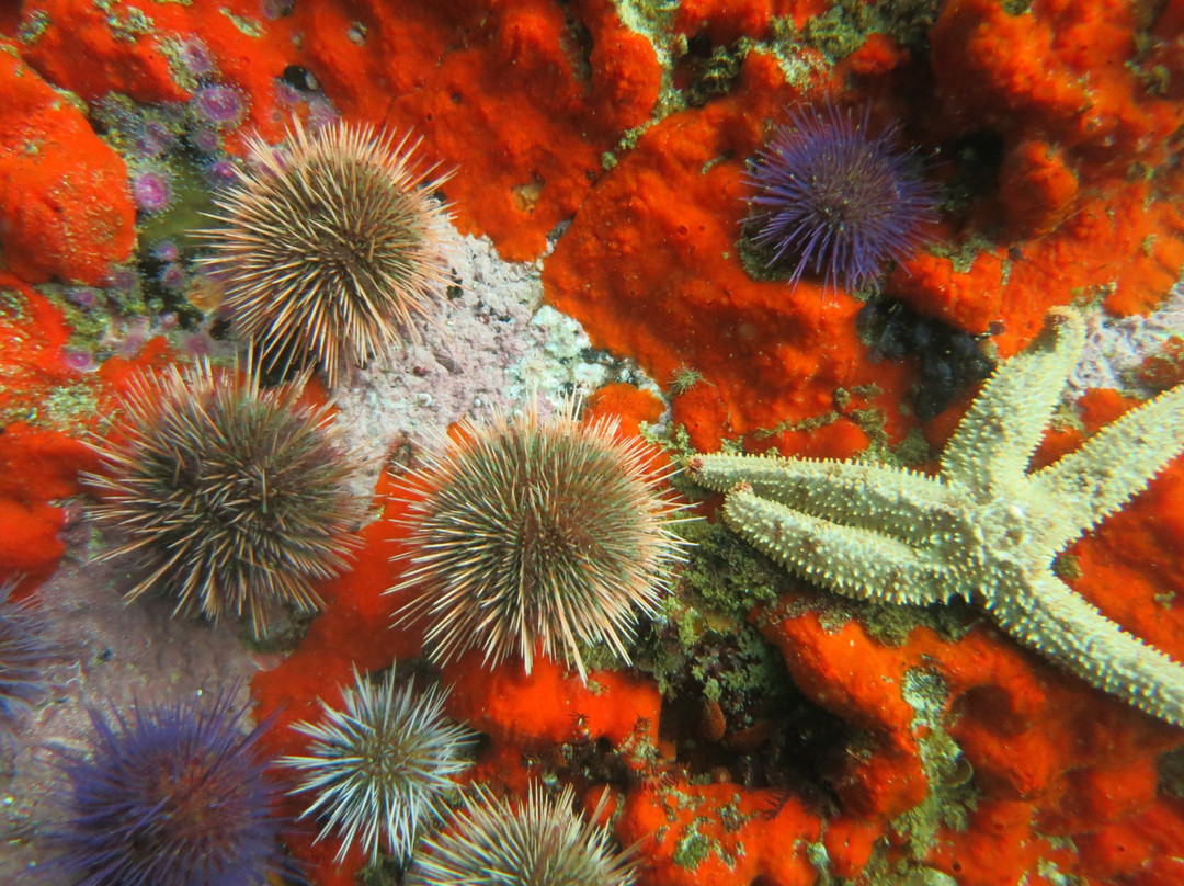 Scuba Shack-西门镇必去景点