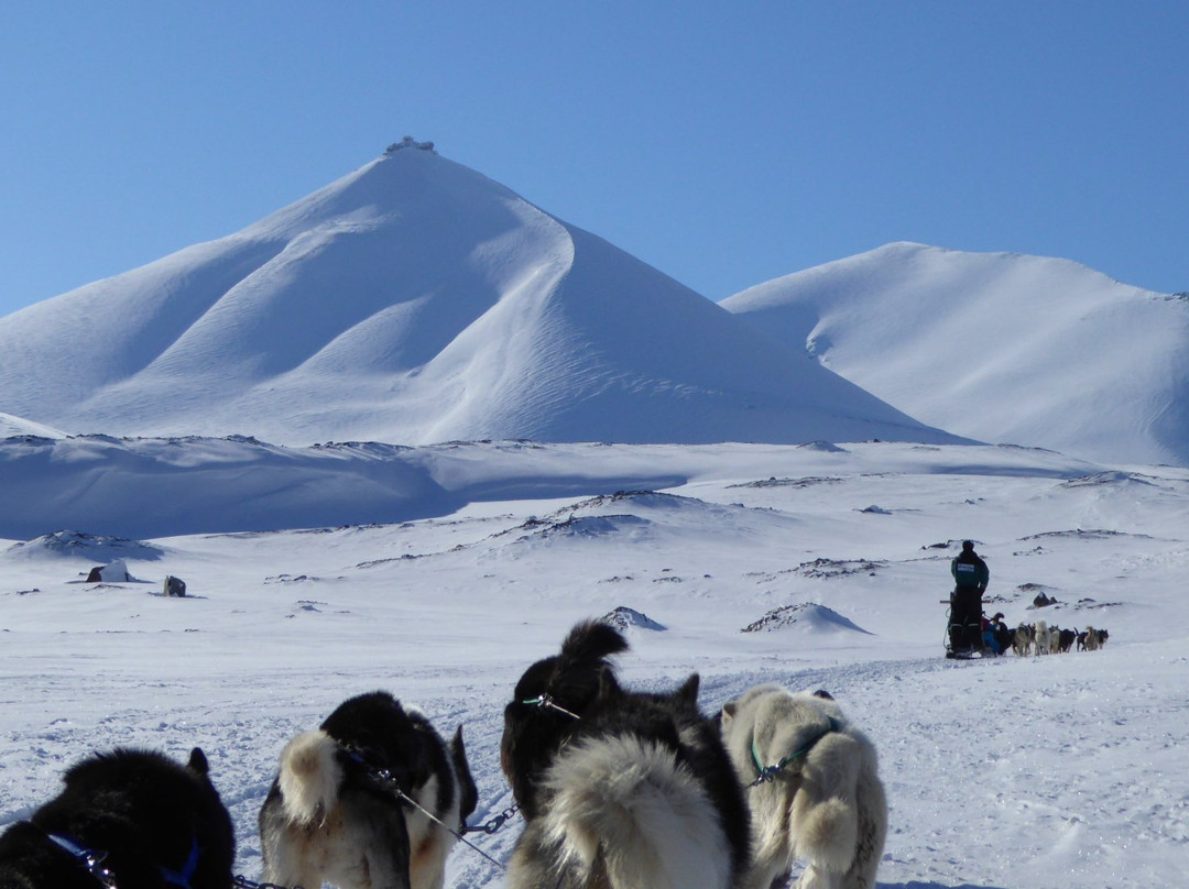 Green Dog Svalbard-朗伊尔城必去景点