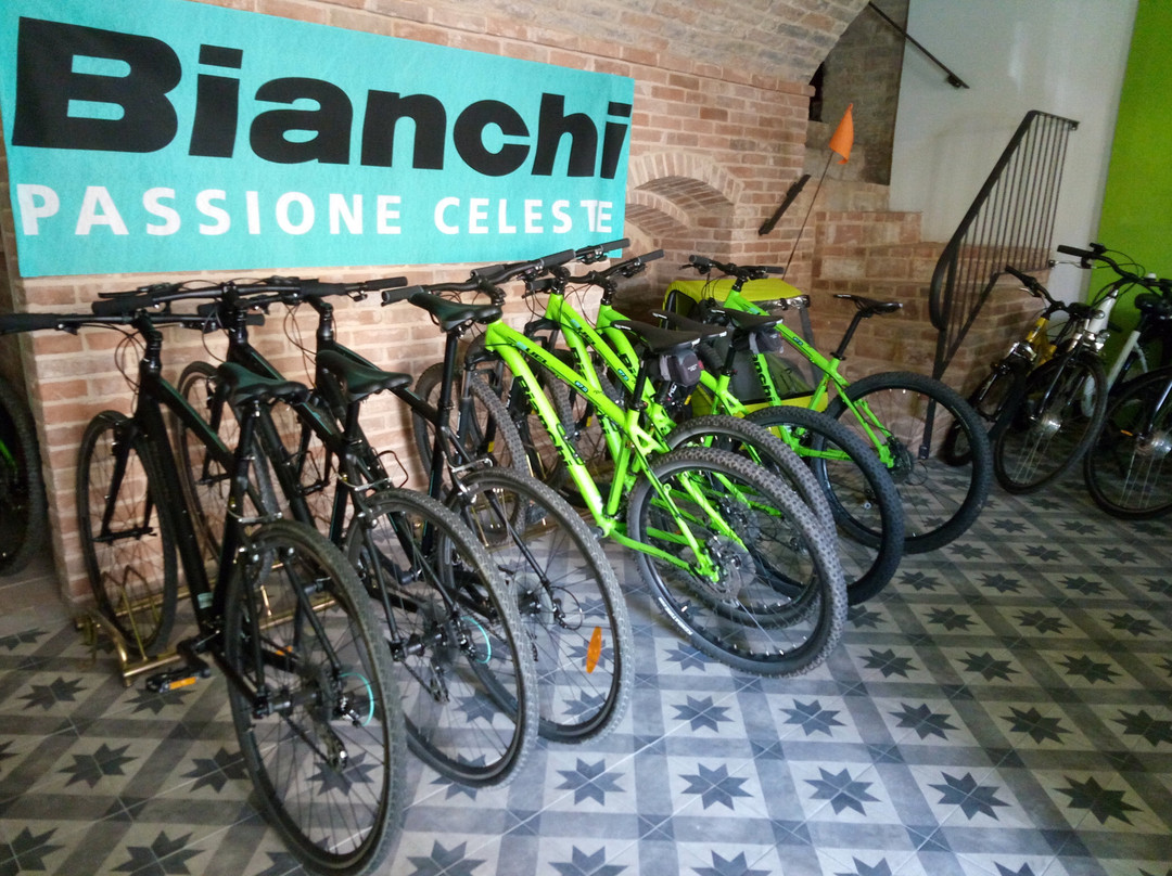 Ciclisti della Domenica景点图片