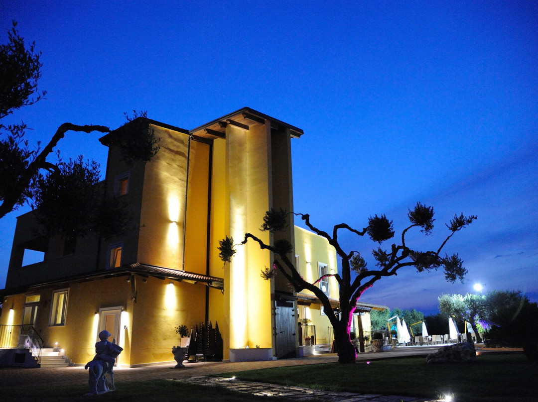 Montescaglioso酒店住宿-Villa D'Anzi B&B