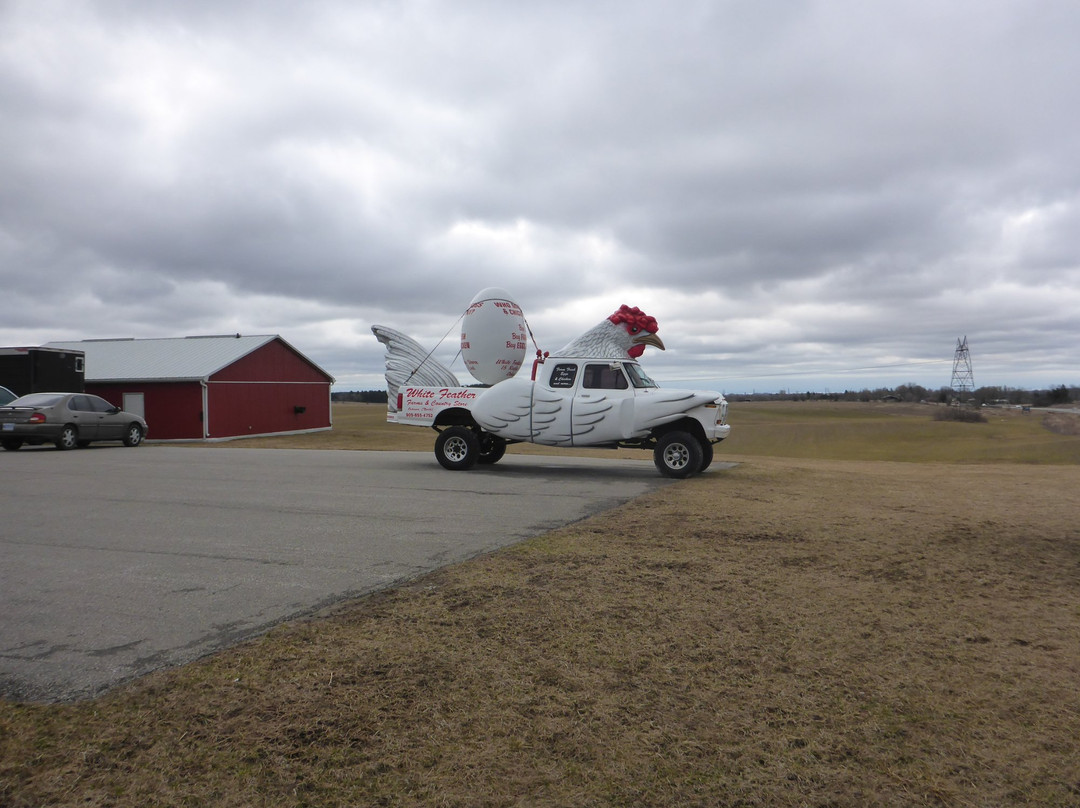White Feather Country Store-奥沙瓦必去景点