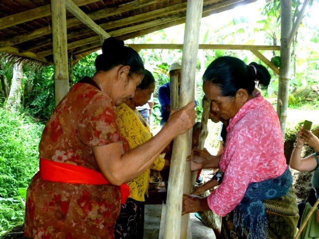 Temuku Aya - Bali Farming Life-达巴南必去景点