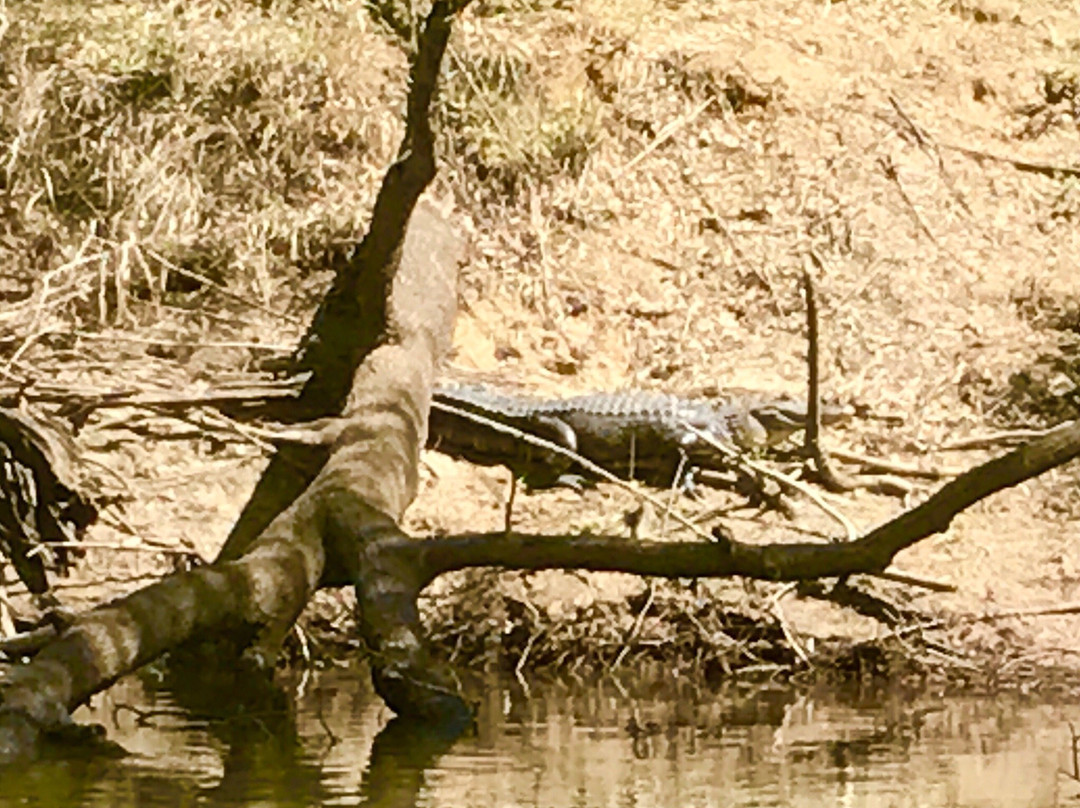 Turning Basin Riverboat Tours-Jefferson必去景点