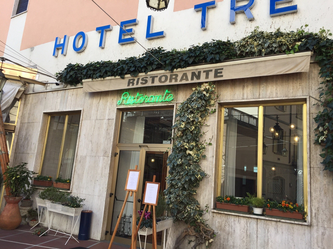 特里酒店