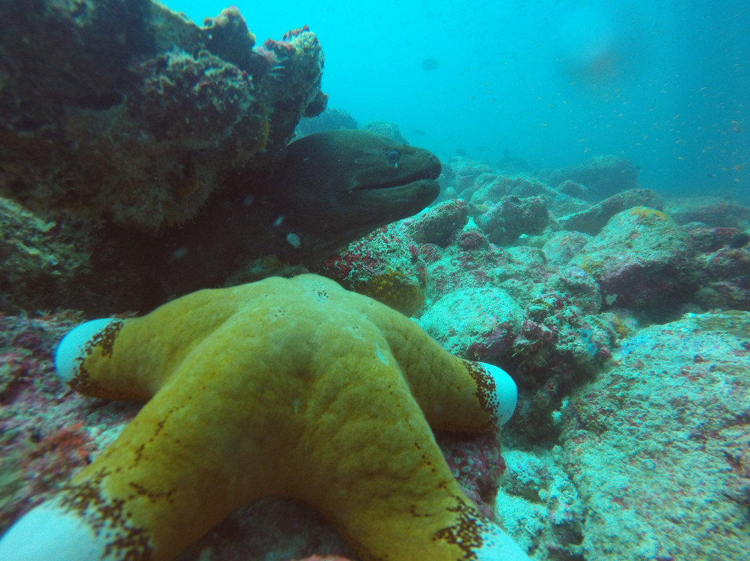 Scuba Weh-韦岛必去景点