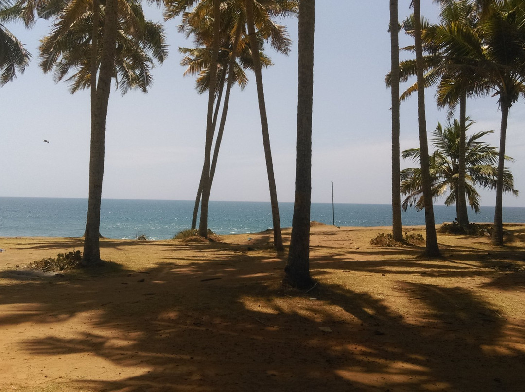 Varkala Aquarium-瓦卡拉必去景点