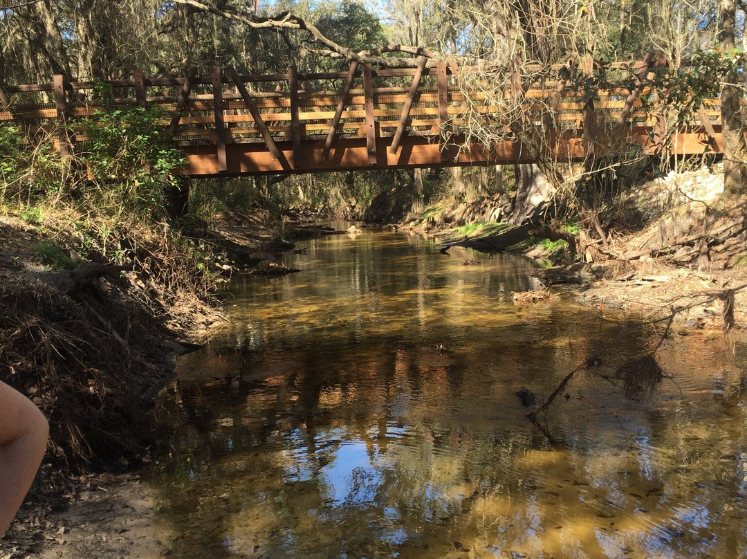 Lower Green Swamp Reserve-普兰特城必去景点