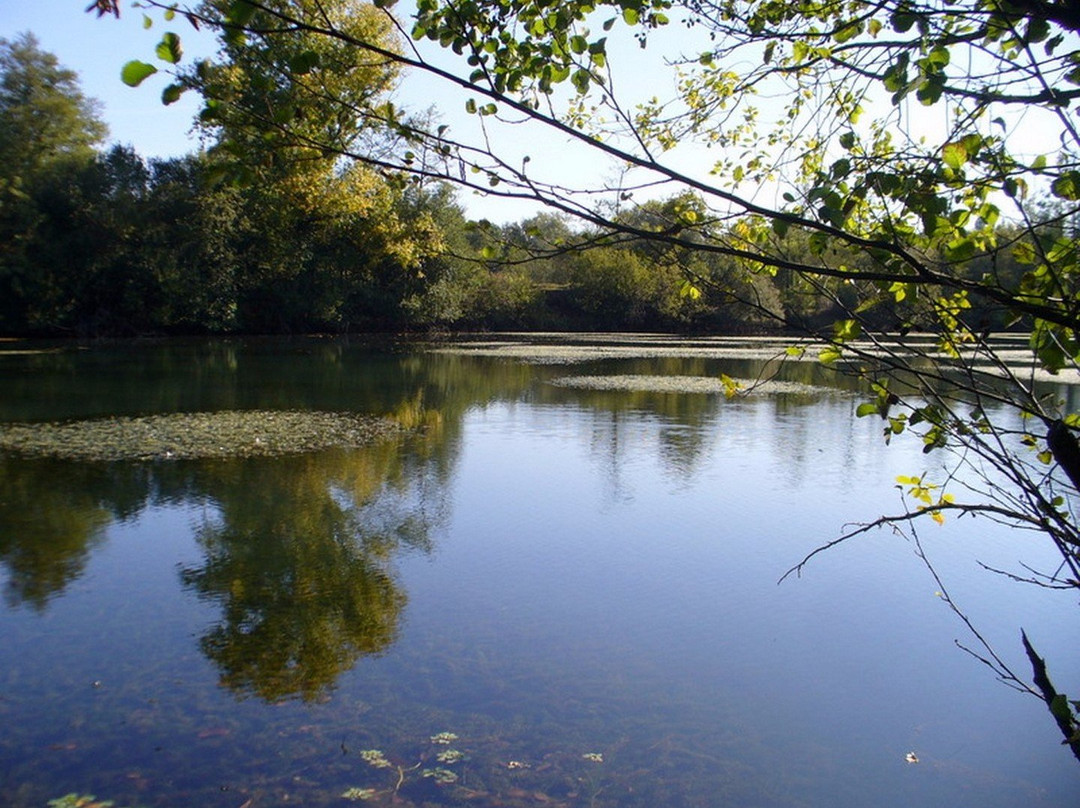 Chambre D’Hotes Dyrslot主图