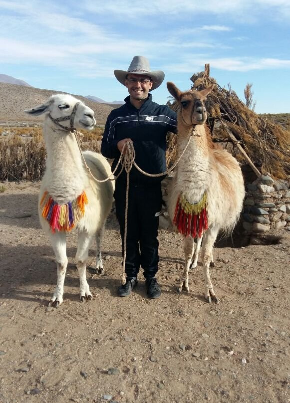 Paseo Con Llamas-San Antonio de los Cobres必去景点