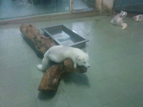 南京海底世界-南京市必去景点