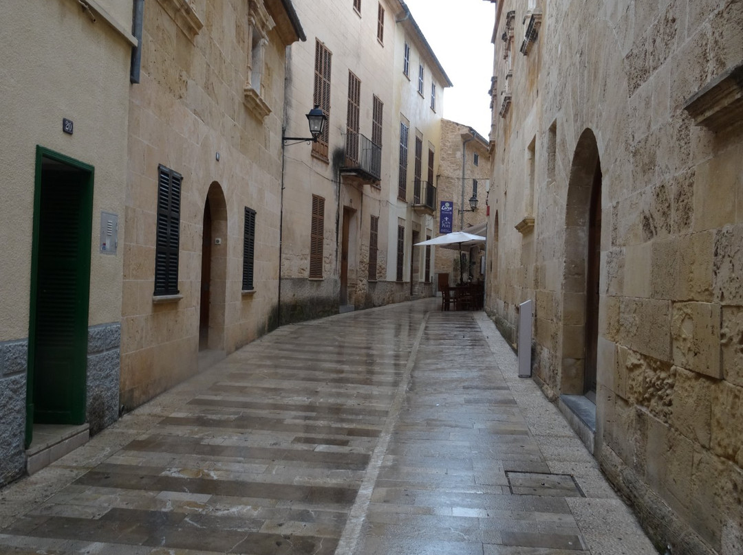 Fundacio Biblioteca d'Alcudia Can Torro-阿库迪亚必去景点