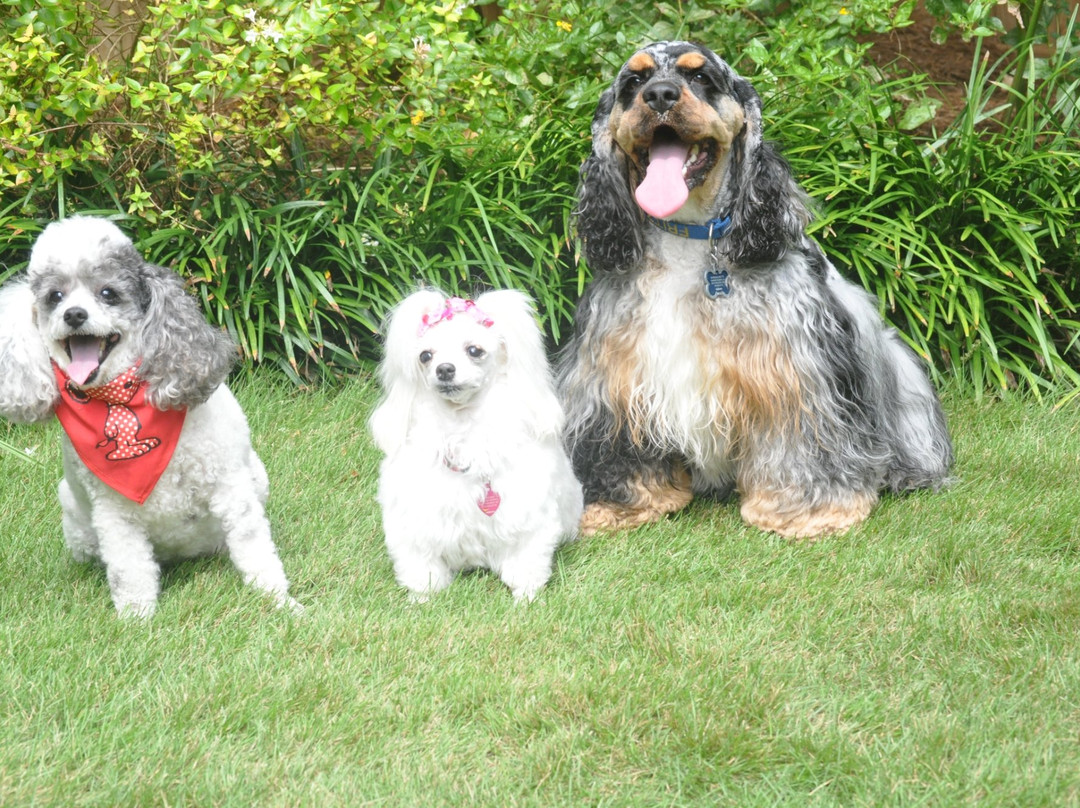 Wellston Trail-华纳罗宾斯必去景点