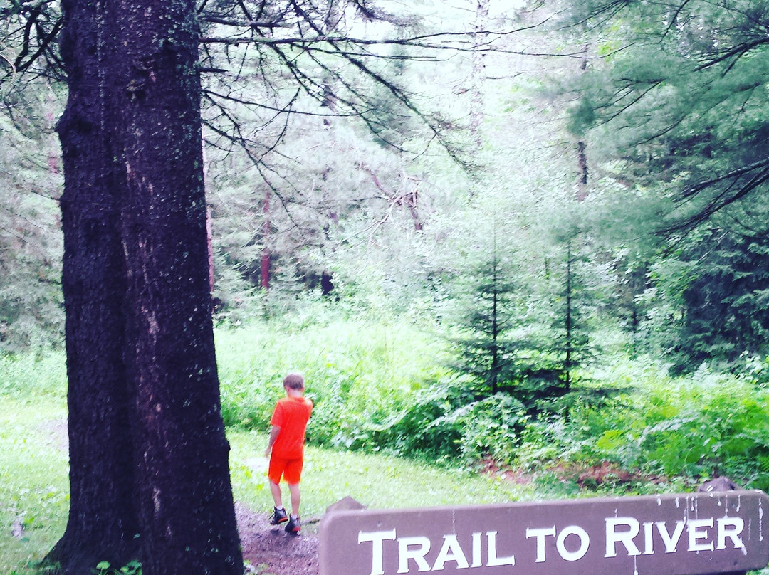 Brule River State Forest景点图片