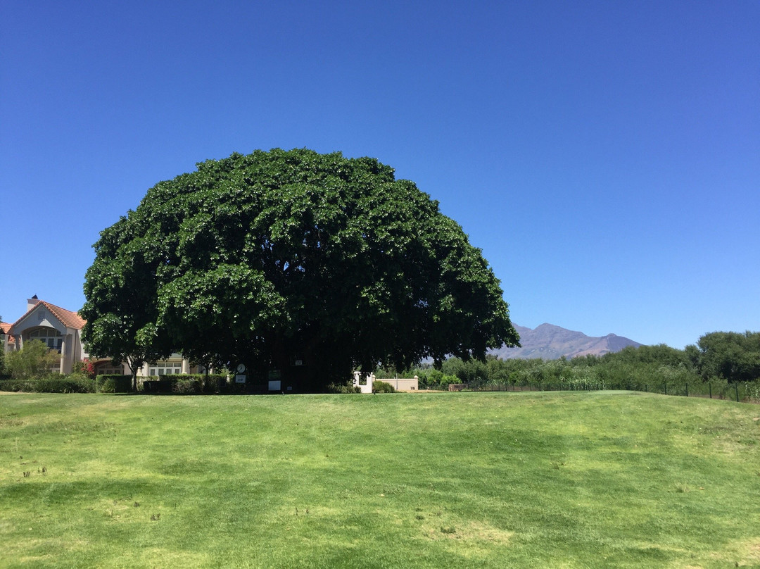 Boschenmeer Golf Estate-帕尔必去景点