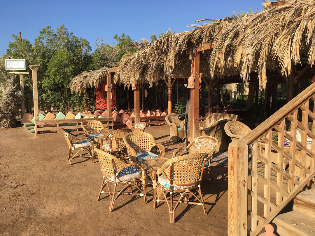 Acacia Dahab Hotel主图