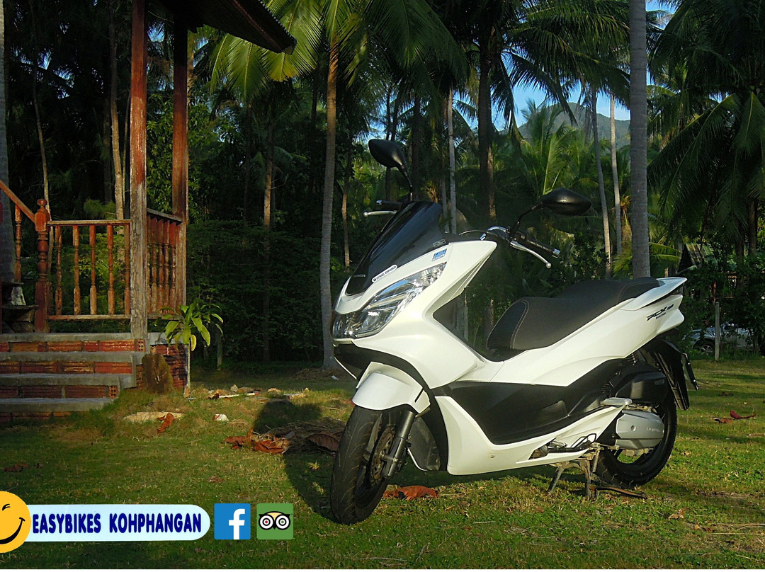 EasyBikes KohPhangan-帕岸岛必去景点