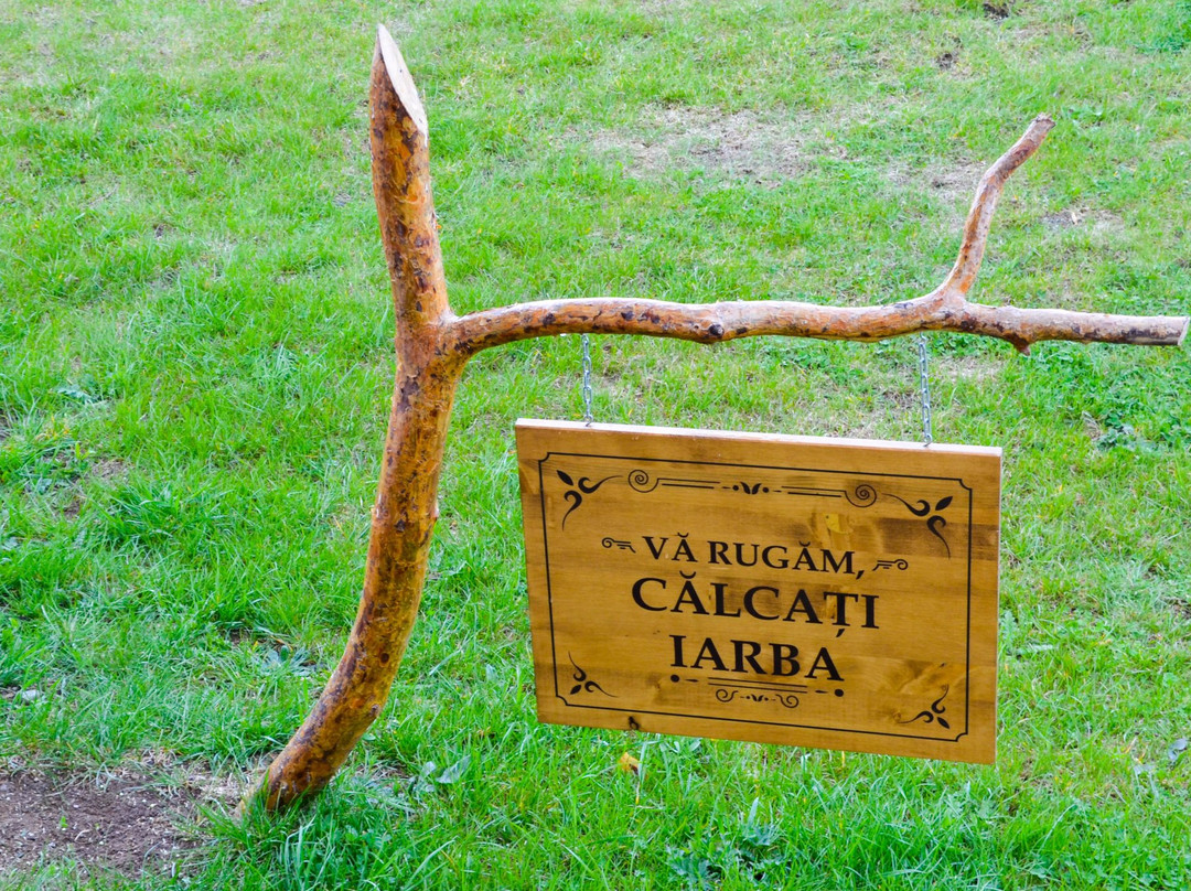 Pensiunea Banffy主图