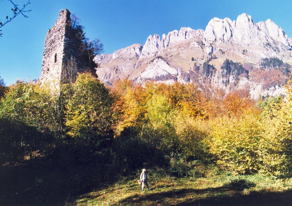 Ruine Hohensax景点图片