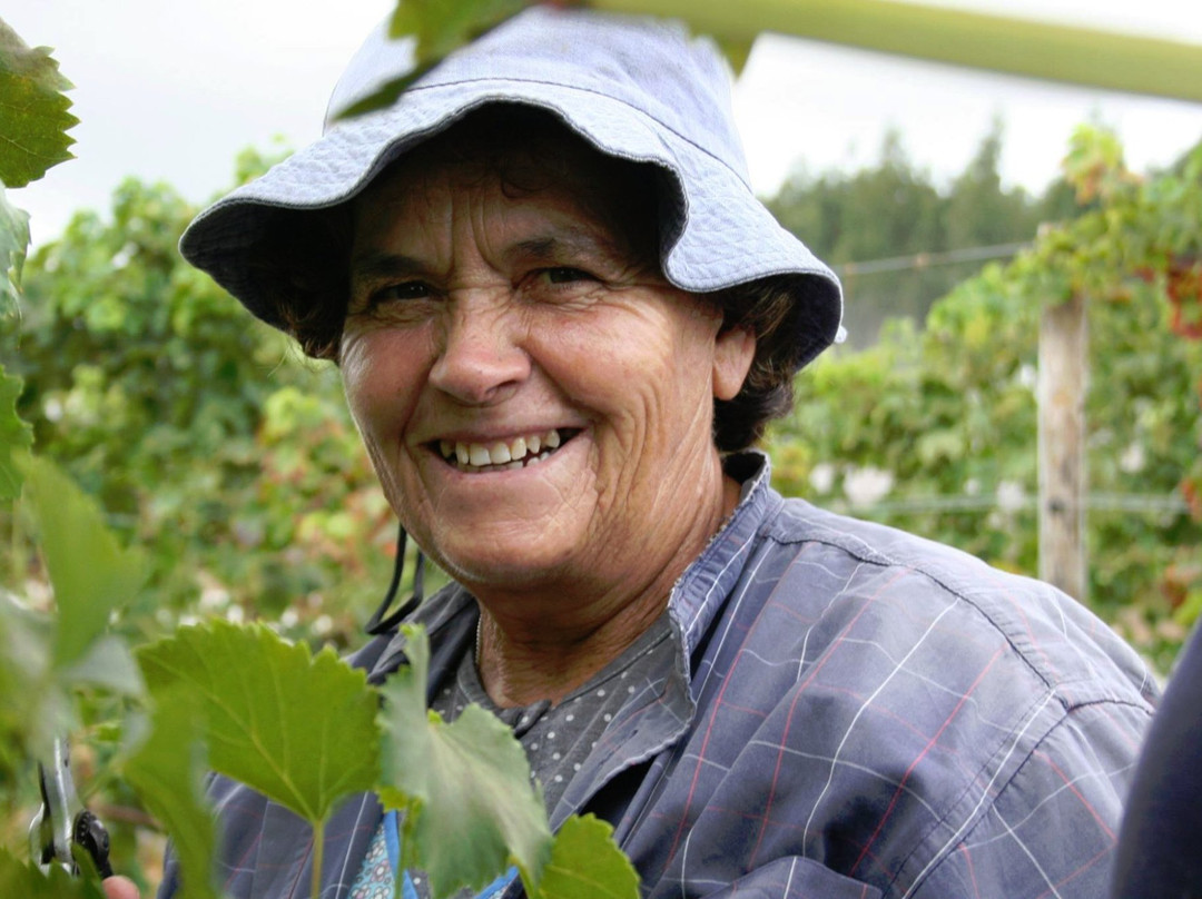 Sesimbra Natura Park-塞新布拉必去景点
